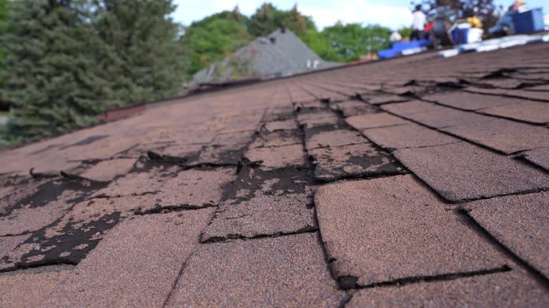 Trusted Gibsonburg, OH Roofing Experts