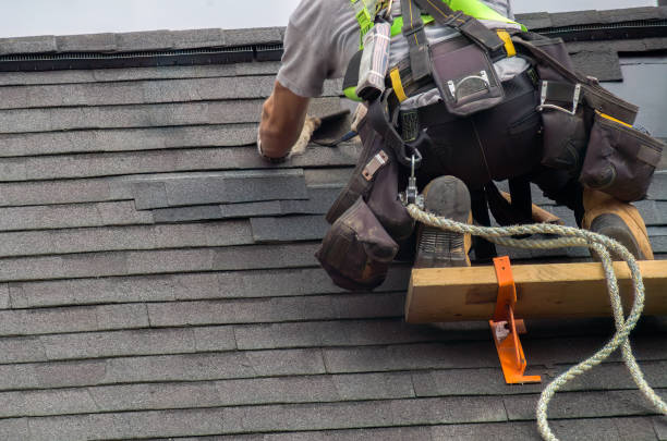 Best Roof Moss and Algae Removal  in Gibsonburg, OH