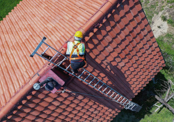 Best Skylight Installation and Repair  in Gibsonburg, OH