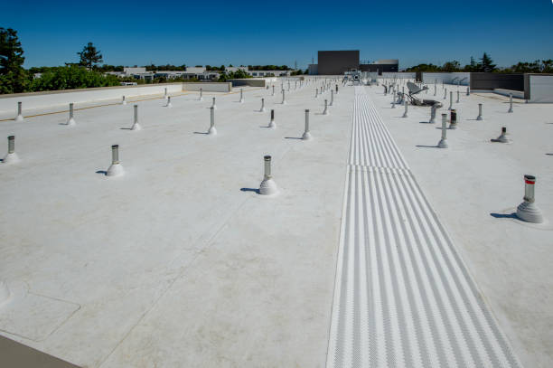 Best Metal Roofing Installation  in Gibsonburg, OH